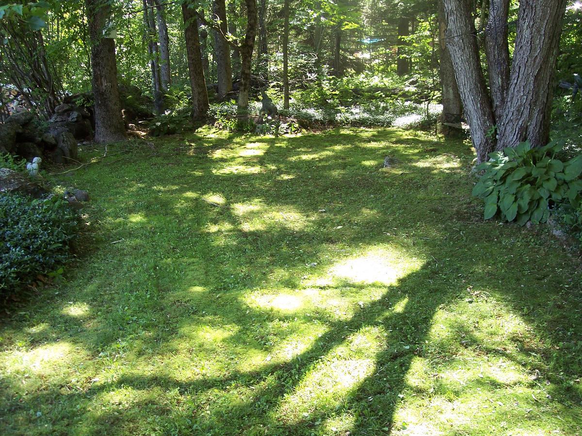 Bed and Breakfast Hummingbird Hill Stoddard Exterior foto