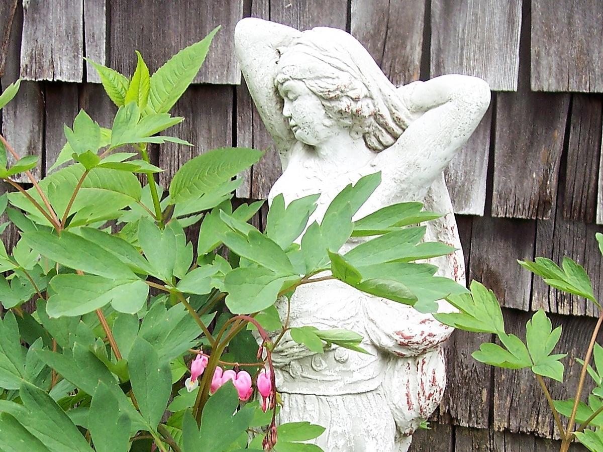 Bed and Breakfast Hummingbird Hill Stoddard Exterior foto