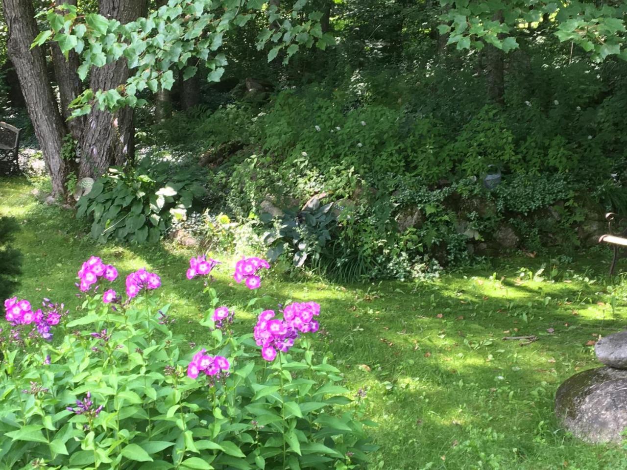 Bed and Breakfast Hummingbird Hill Stoddard Exterior foto
